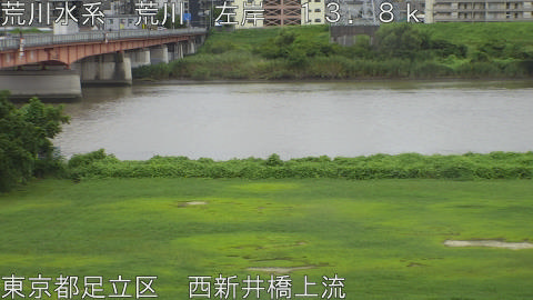 arani2026081612_image