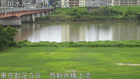 arani2026081712_image