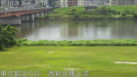 arani2026082212_image