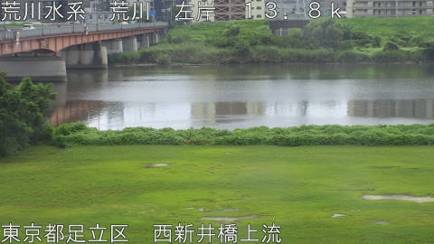 arani2026082312_image