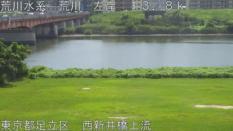 arani2026082412_image