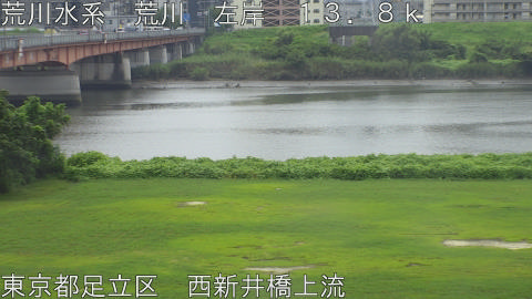 arani2026082612_image
