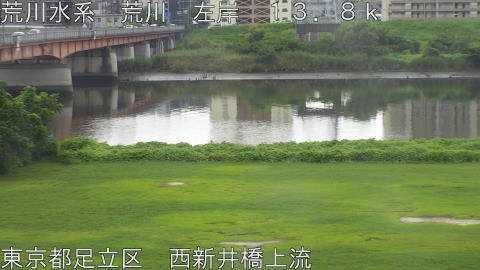 arani2026082712_image