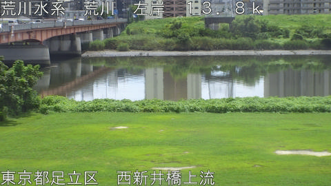 arani2026082812_image