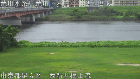 arani2026082912_image