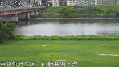 arani2026083012_image