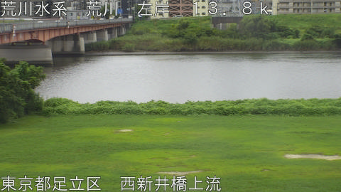 arani2026083112_image