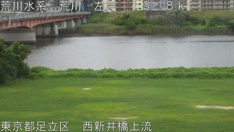 arani2026090112_image