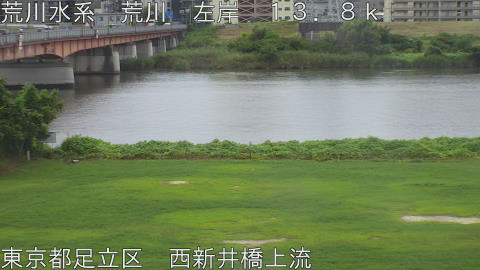 arani2026090312_image
