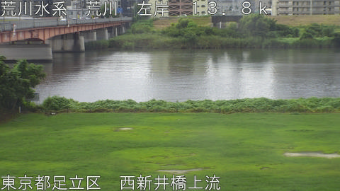 arani2026090512_image