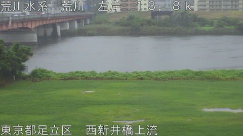 arani2026090612_image