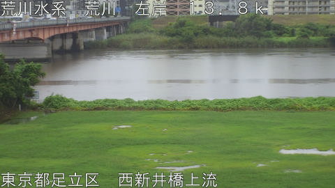 arani2026090712_image