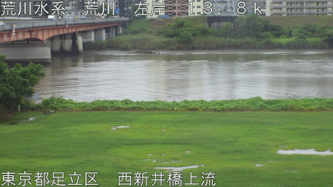 arani2026091112_image