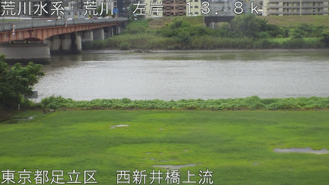 arani2026091212_image