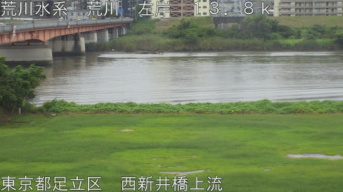 arani2026091312_image