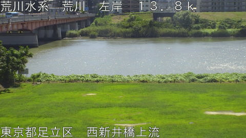 arani2026091412_image