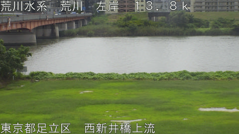 arani2026091712_image