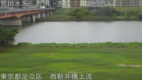 arani2026091812_image