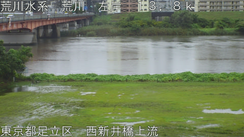 arani2026092112_image