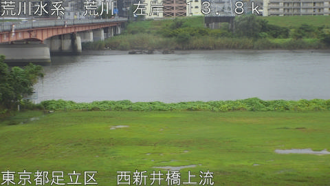 arani2026092612_image