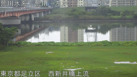 arani2026092812_image