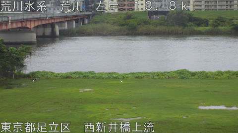arani2026093012_image