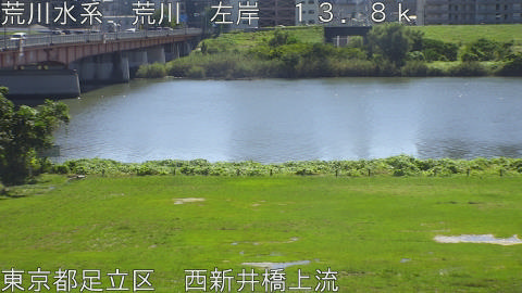 arani2026100112_image