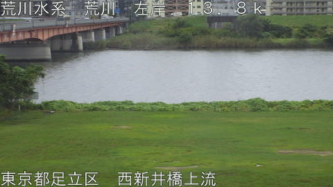 arani2026100212_image