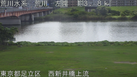 arani2026100312_image