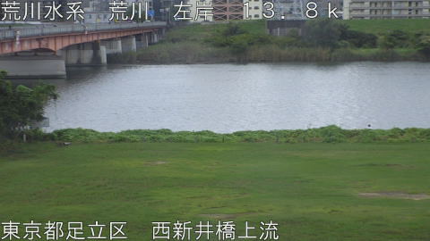 arani2026100412_image