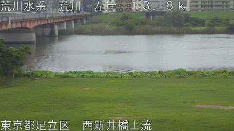arani2026100512_image