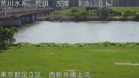arani2026100712_image