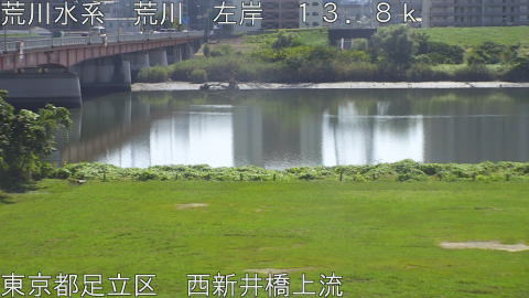 arani2026100912_image