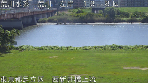 arani2026101112_image