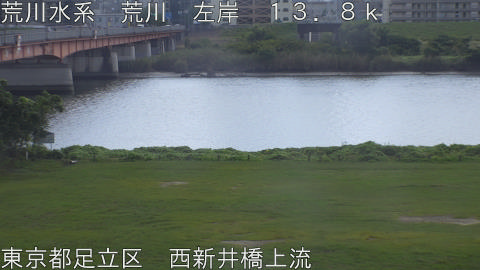 arani2026101212_image