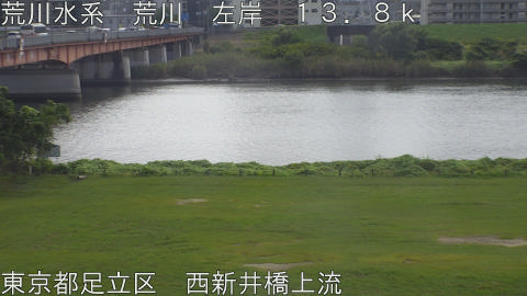 arani2026101312_image