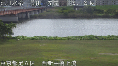 arani2026101512_image