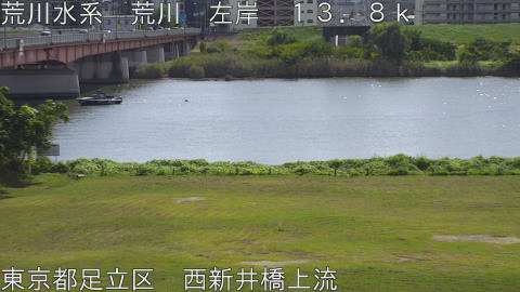 arani2026101712_image