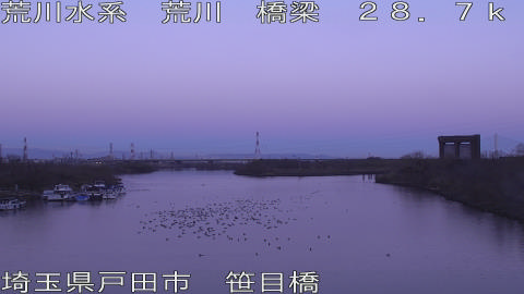 arasa2026012907_image