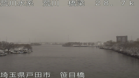 arasa2026020812_image