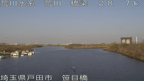 arasa2026021509_image