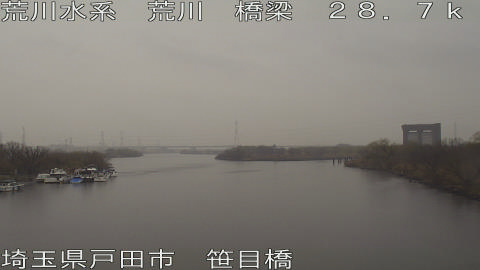 arasa2026022509_image