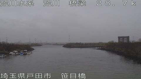 arasa2026022517_image