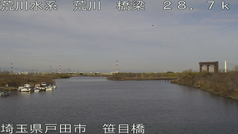 arasa2026022710_image