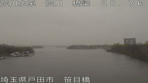 arasa2026031008_image