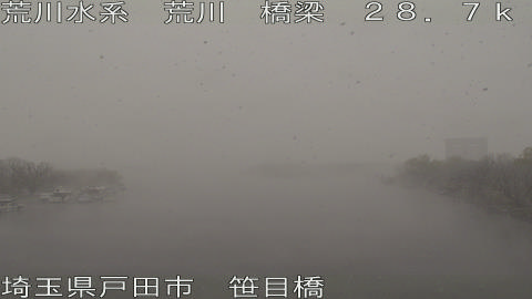 arasa2026031009_image