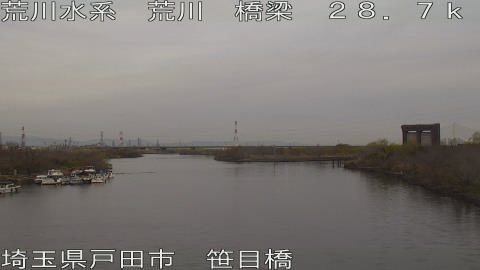 arasa2026031307_image