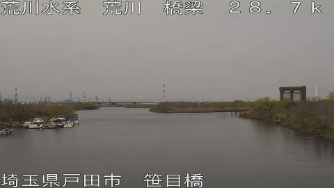 arasa2026031311_image