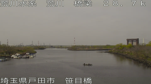 arasa2026032212_image