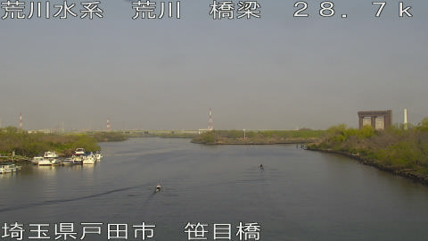 arasa2026032908_image